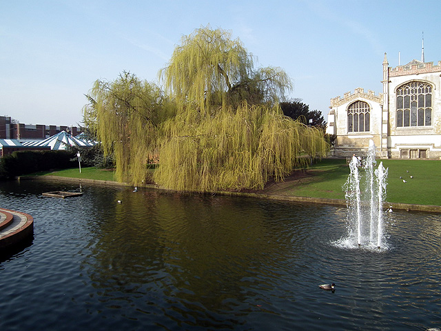 Weeping willows and a fountain on the River Hiz beside St Mary's Church